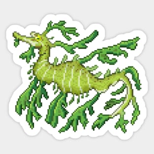 Leafy Sea Dragon Sticker